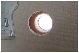 �z�ǂ�ʂ���